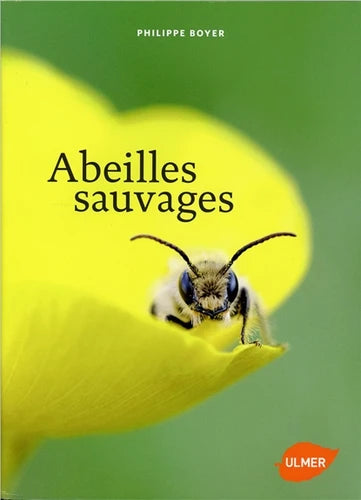 Abeilles sauvages - Éditions Ulmer