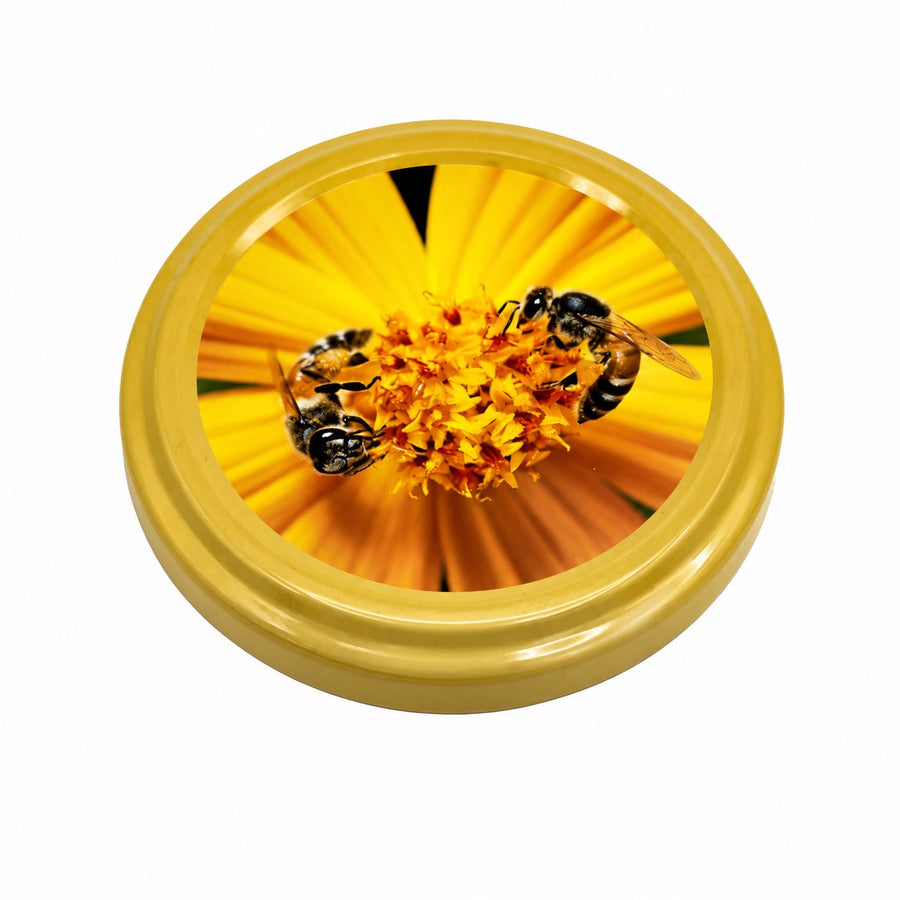 Capsule TO 63 - abeilles/ fleur jaune miel