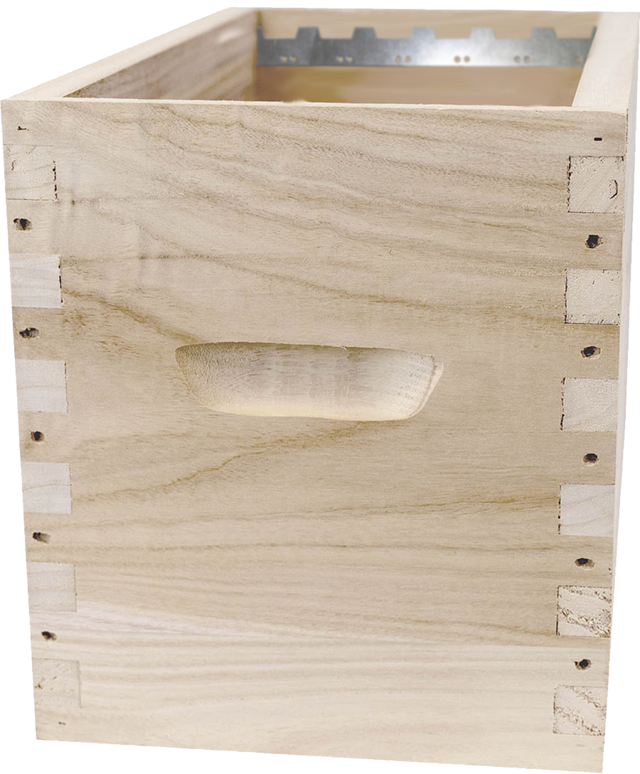 Corps ruchette 6 cadres tenons Paulownia (280 mm)