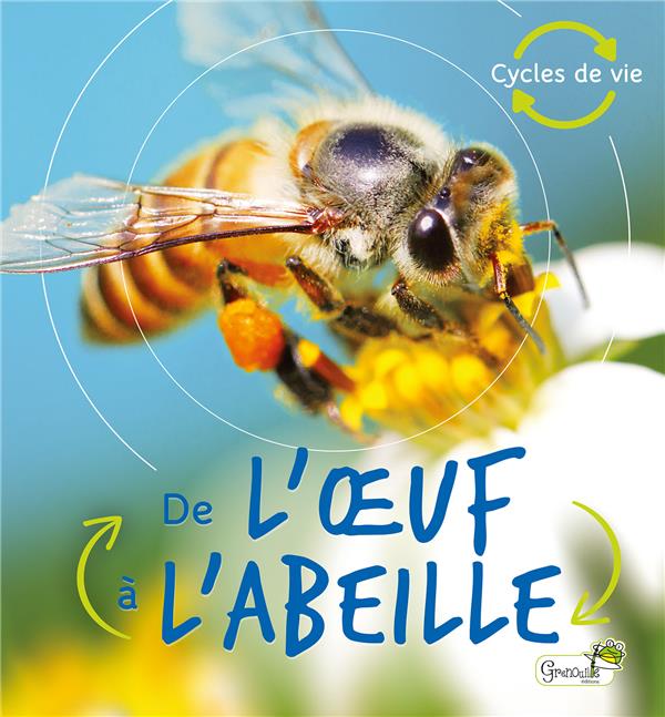 De l'oeuf à L'abeille - Éditions grenouille