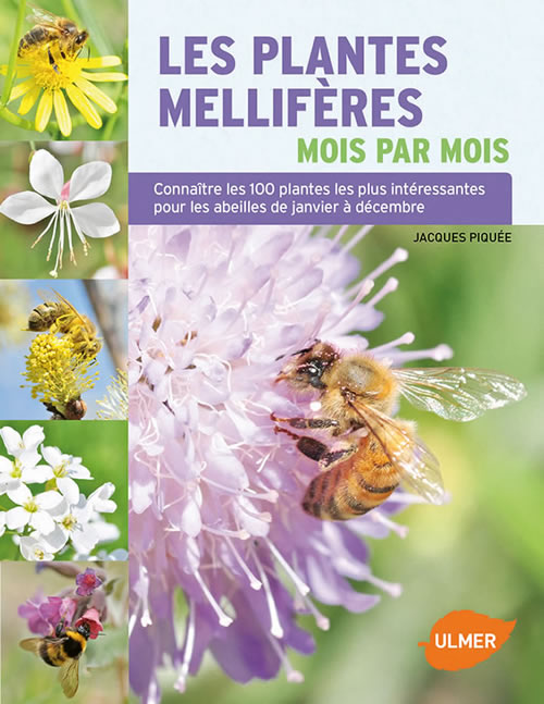 Les plantes mellifères mois par mois - Éditions Ulmer