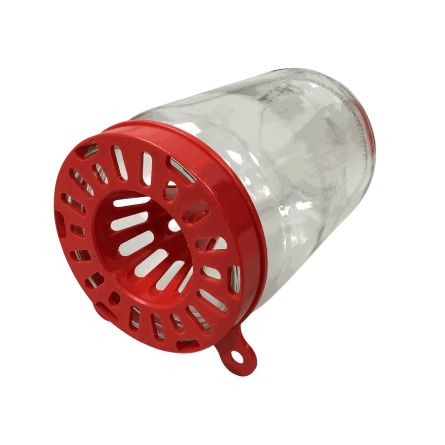 Piège anti frelons asiatiques sur pot plastique