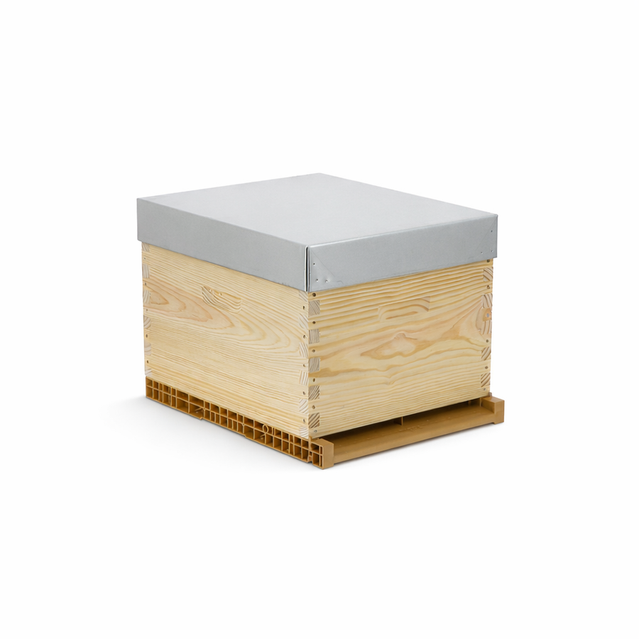 Ruche 10 cadres - fond plastique - tenons Paulownia