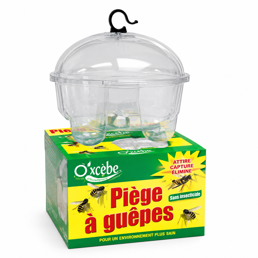 Piège cloche frelons asiatiques