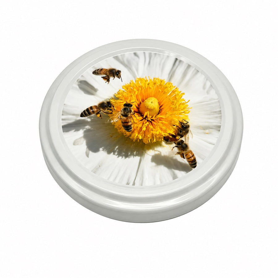 Capsule TO 63 abeille/fleur blanche