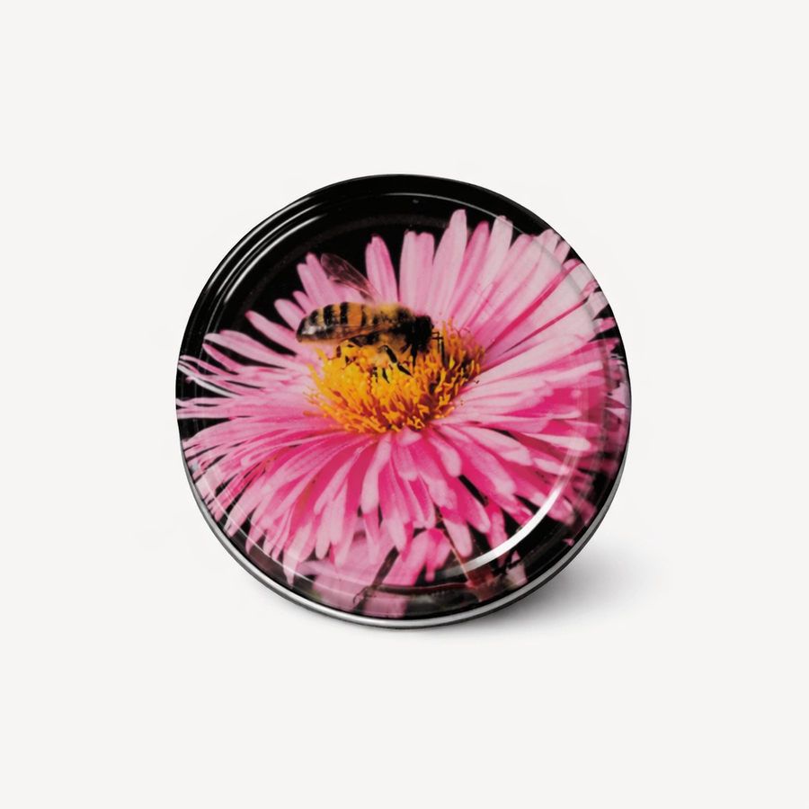 Capsule TO 82 abeille sur fleur noire (Api su fiore)
