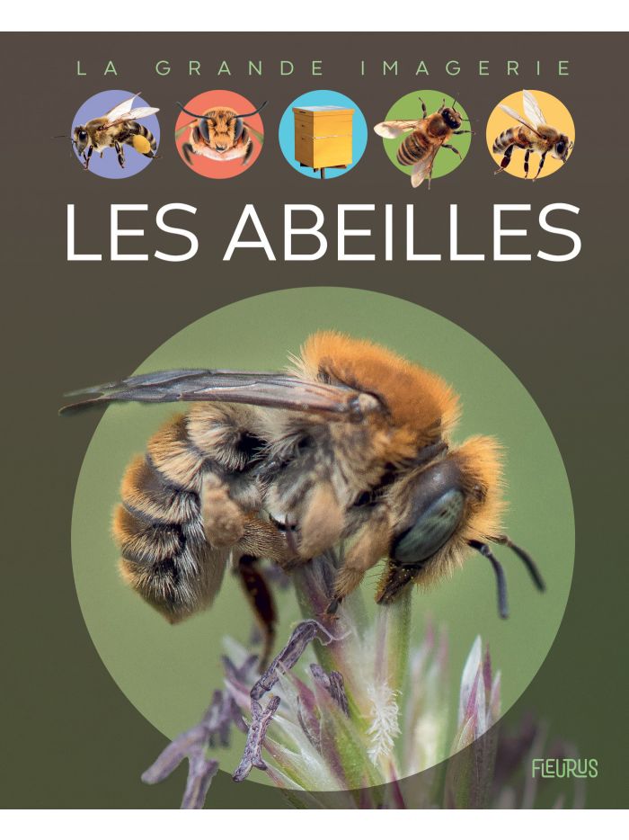 Les abeilles, imagerie animale - Éditions Fleurus